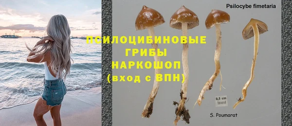 дурь Абинск