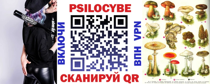 kraken как зайти  где продают наркотики  Новопавловск  Псилоцибиновые грибы Magic Shrooms 